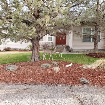 Eagle Crest Resort - Deer on property - Resorts Near Me - Redmond, Oregon