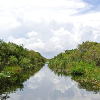 Airboat USA - Shot of the Everglades - Boat Tours Near Me Airboat USA - Shot of the Everglades - Boat Tours Near Me