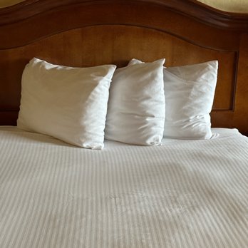 Red Lion Hotel Wenatchee - Sofa pillows for your stay - Hotels Near Me - Wenatchee, Washington Red Lion Hotel Wenatchee - Sofa pillows for your stay - Hotels Near Me - Wenatchee, Washington