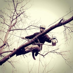 Toppers & Choppers Tree Service - No job is too big or too small for our company!