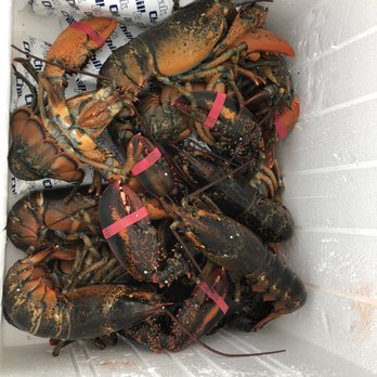 Get Maine Lobster - Culls were cheaper - Seafood Markets Near Me - Portland, Maine