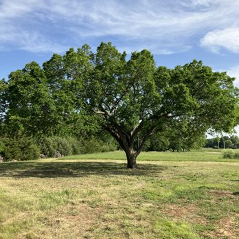 Jordan’s Outdoor Services - Tree Services Near Me Jordan’s Outdoor Services - Tree Services Near Me