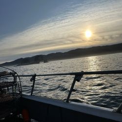 Kerri Lin Charters - Great view