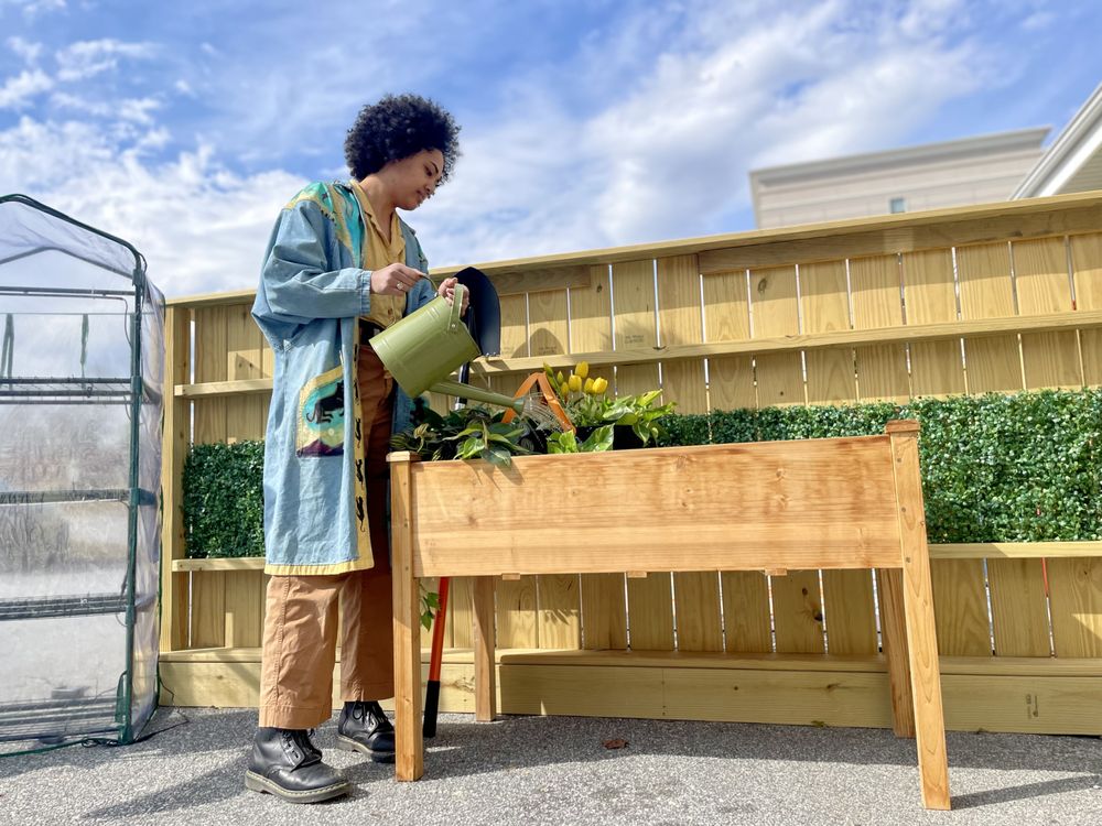 Sprouts Early Learning Academy - childcare center in Asheville, NC