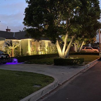 Tony's BC Tree Service - After LED lights in front yard - Tree Services Near Me - Orange, California Tony's BC Tree Service - After LED lights in front yard - Tree Services Near Me - Orange, California