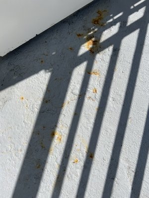 American Cruise Lines by null