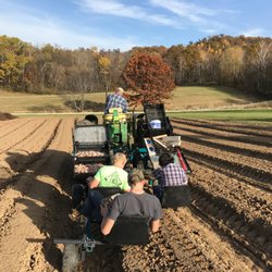 Tamarack Garlic Farm - Garlic Planting at Tamarack Garlic Farm, October 2017