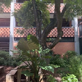 Carpenters Hall - outdoor seating area - New American Near Me - Austin, Texas