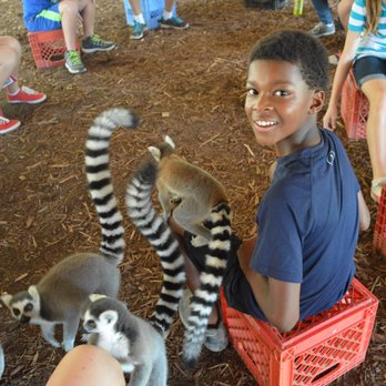 Cub Creek Science Camp - Summer Camps Near Me - Rolla, Missouri