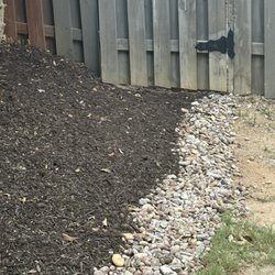 Marco Tree Removal - Professionals