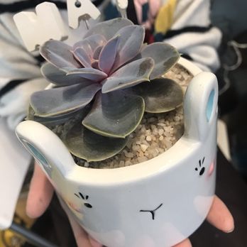 Plant It - Flowers & Gifts Near Me - Markham, Ontario
