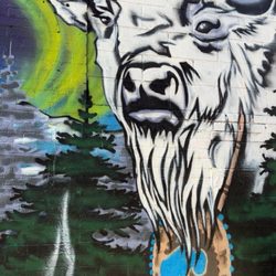 Art Alley Rapid City