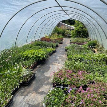 Peconic River Herb Farm - Tunnel house - Nurseries & Gardening Near Me - Calverton, New York Peconic River Herb Farm - Tunnel house - Nurseries & Gardening Near Me - Calverton, New York
