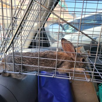 Pestmaster of Tucson - Pest Control Near Me - Tucson, Arizona Pestmaster of Tucson - Pest Control Near Me - Tucson, Arizona