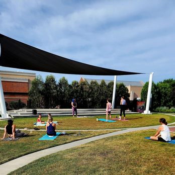 Goat Yoga Chicago - FREE Sunday Yoga with Goat Yoga Chicago. Thank you! - Yoga Near Me - Elgin, Illinois