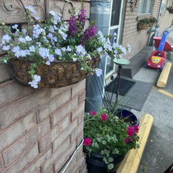 Rancho Flores Garden Center - Rosemary helped with these
