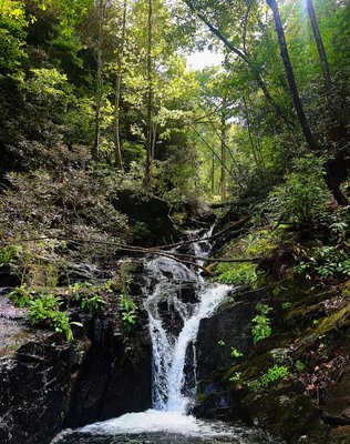 Eclectic Sun Paddlesports by null