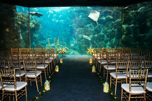 The Florida Aquarium by null