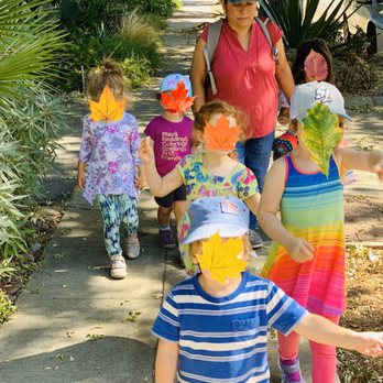 Amistad Preschool - Our sweet group enjoying an autumn Nature Walk around the block. We are so lucky to be located in a beautiful, peaceful neighborhood! - Preschools Near Me - San Jose, California