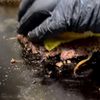 Sweetwood BBQ gift card