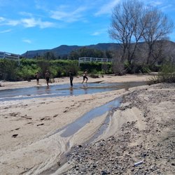 Kids were having fun in the creek bed