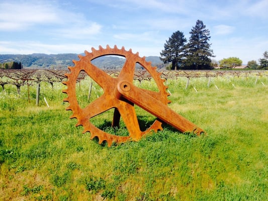 Blackbird Vineyards by null