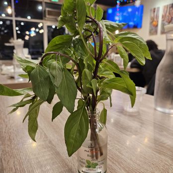 Pho Flavor - Fresh basil - Vietnamese Near Me - Garden Grove, California
