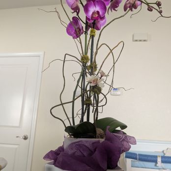Kiyo's Floral Design - Orchids from Kiyos - Florists Near Me - Sacramento, California Kiyo's Floral Design - Orchids from Kiyos - Florists Near Me - Sacramento, California