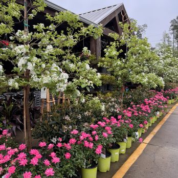 Southern Nurseries - Nurseries & Gardening Near Me - Silsbee, Texas Southern Nurseries - Nurseries & Gardening Near Me - Silsbee, Texas