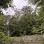 Photo of RibbonWalk Nature Preserve