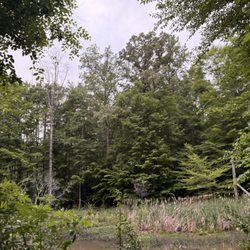 RibbonWalk Nature Preserve