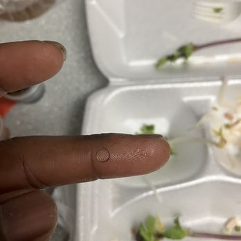 Pho 602 Vietnamese Restaurant - A cooks hair was in my pho (Left finger) ,My hair right thumb!!! - Vietnamese Near Me - Phoenix, Arizona