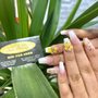 Photo of Just Nailz