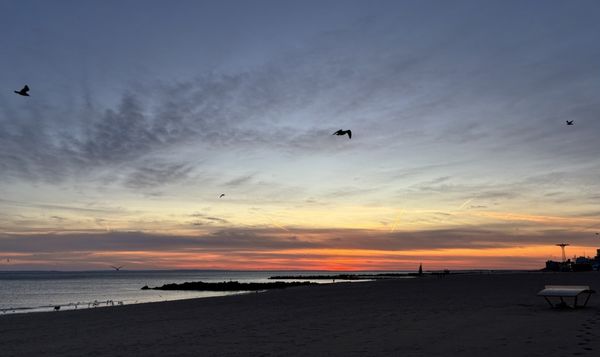 Brighton Beach by null