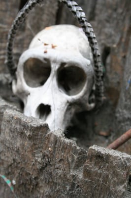 Bigfoot Discovery Museum by null