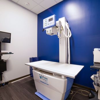 Sugar Land Veterinary Clinic - If your pet has an issue for which we need special images, we have our X-ray room also equipped with ultrasound. - Veterinarians Near Me - Sugar Land, Texas Sugar Land Veterinary Clinic - If your pet has an issue for which we need special images, we have our X-ray room also equipped with ultrasound. - Veterinarians Near Me - Sugar Land, Texas