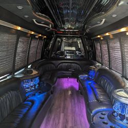 Southern Vines Texas - Fun limo style bus!  Great scenery!
