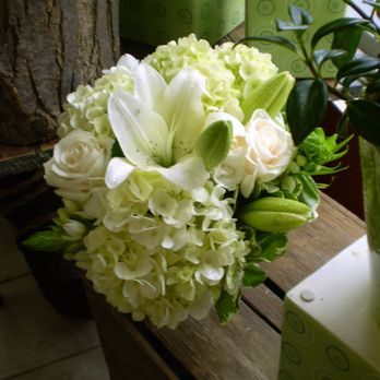 Mood Moss Flowers - Florists Near Me - Ottawa, Ontario Mood Moss Flowers - Florists Near Me - Ottawa, Ontario