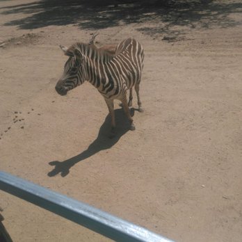 Global Wildlife Center - Zoos Near Me - Folsom, Louisiana