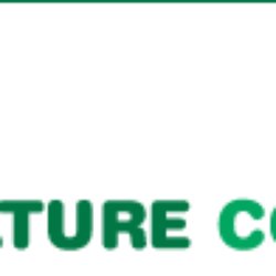 Creature Comforts - Official Website