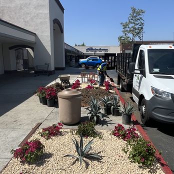 Tropicana Landscape - Landscaping Near Me - San Pedro, California Tropicana Landscape - Landscaping Near Me - San Pedro, California