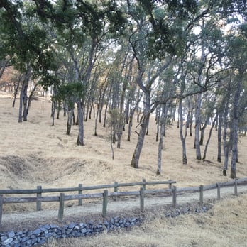Folsom Lake State Recreation Area - Oak nature trail - Lakes Near Me - Folsom, California