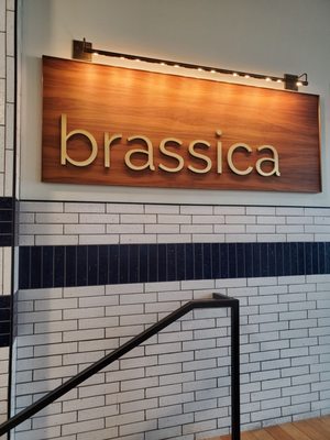 Brassica in Shaker Heights by null