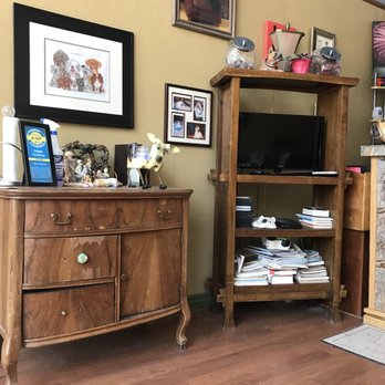 Gidgets Grooming - Dirty floors and ratty furniture - Pet Groomers Near Me - Denver, Colorado