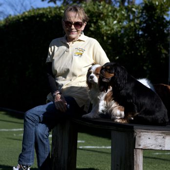 Dawg Tired Play Days - Pet Training Near Me - Tacoma, Washington