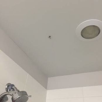 Arkadia West Loop - Leak in the shower ceiling - Apartments Near Me - Chicago, Illinois