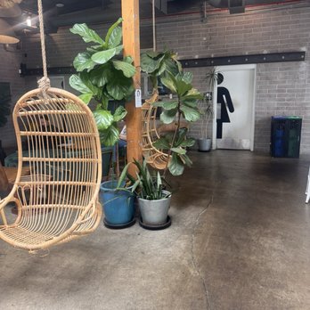MoonGoat Coffee Roasters - Plants - Coffee Roasteries Near Me - Costa Mesa, California