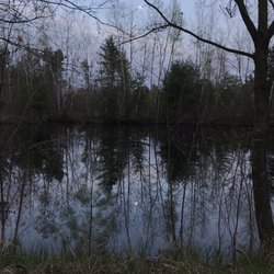 Woods Edge Campground - Amazing full moon over the little pond