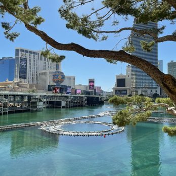 Spago - New American Near Me - Las Vegas, Nevada Spago - New American Near Me - Las Vegas, Nevada
