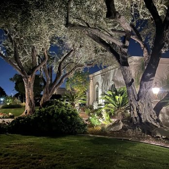 Woods Tree Trimming - a house at night - Tree Services Near Me Woods Tree Trimming - a house at night - Tree Services Near Me